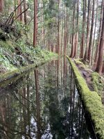 Levada-Wanderung
