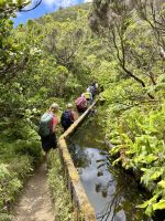 Zurück entlang der Levada