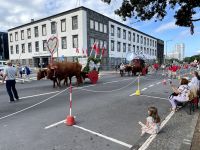 Großer Festumzug in Ponta Delgada