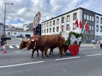 Großer Festumzug in Ponta Delgada