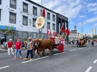 Großer Festumzug in Ponta Delgada