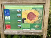 Erste Wanderung auf Faial - rund um die Caldeira