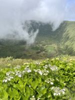 Wandern zwischen wundernschönen Hortensien am Wegesrand
