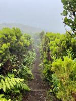 Wir starten im Nebel ...