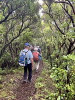 ... durch ein märchenhaftes Waldgebiet