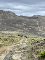 Capelinhos-Vulkangebiet