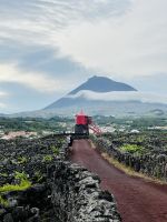 ... inmitten besonderer Weinanbaugebiete