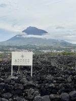 Vorfreude ... Die Weinprobe naht!