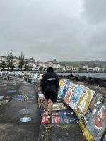 Farbenfroher Hafen von Horta