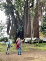 Rundgang im Botanischer Garten