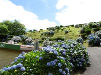 zum Miradouro Pico do Ferros