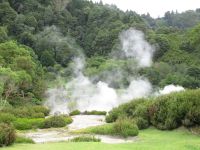 Furnas