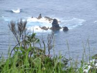 Küste Sao Miguel