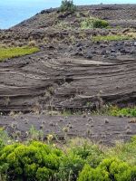 Vulcao dos Capelinhos