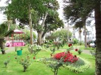 Botanischer Garten von Angra