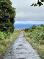Einmal zurück blicken lohnt sich!