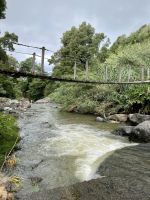 Abenteuer Hängebrücke