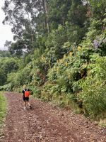 Wanderwege gesäumt vom Zieringwer