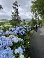 Hortensiengesäumte Wanderwege