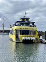 Walbeobachtung ab Ponta Delgada