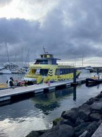 Geld-zurück-Garantie inklusive!