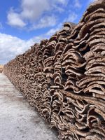 Korkeichenfabrik Evora (2)