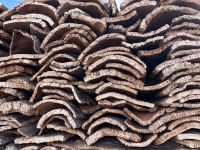 Korkeichenfabrik Evora (3)