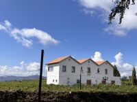 Weingut Quinta da Avessada  (6)