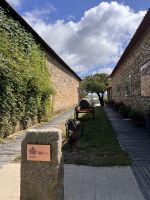 Weingut Quinta da Avessada  (7)