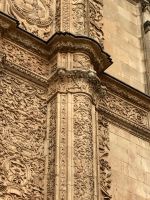 Wo ist der Totenkopf mit dem Frosch?