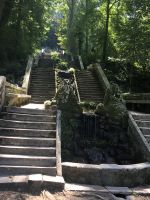 Bussaco-Park Treppenaufgang
