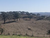 Alentejo-Landschaft