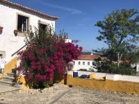 Obidos Blühende Pracht