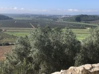 Obidos Blick in die Ebene