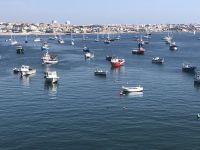 Cascais Bootsidylle