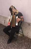 Lissabon Straßenmusikant