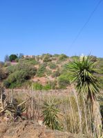 Unsere 1. Wanderung, auf geht es Richtung Meer!