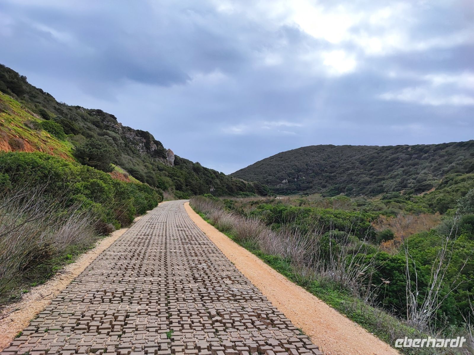 Grüne Impressionen entlang des Weges