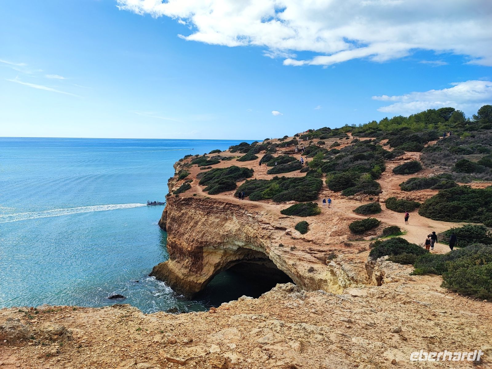 Auch Grünes gibt es zu entdecken