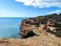 Auch Grünes gibt es zu entdecken