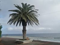 Die Uferpromenade vor unserem Hotel in Canico de Baixo
