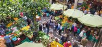 21 Markthalle in Funchal