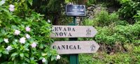 117 Levada Wanderung am Neujahrstag