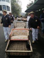 traditionelles Schlitten fahren in Monte