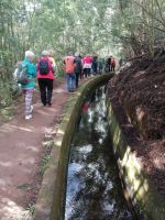 unsere erste Wanderung (Levada - Monte)