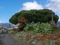 Aussichtsplattform Pico dos Barcelos