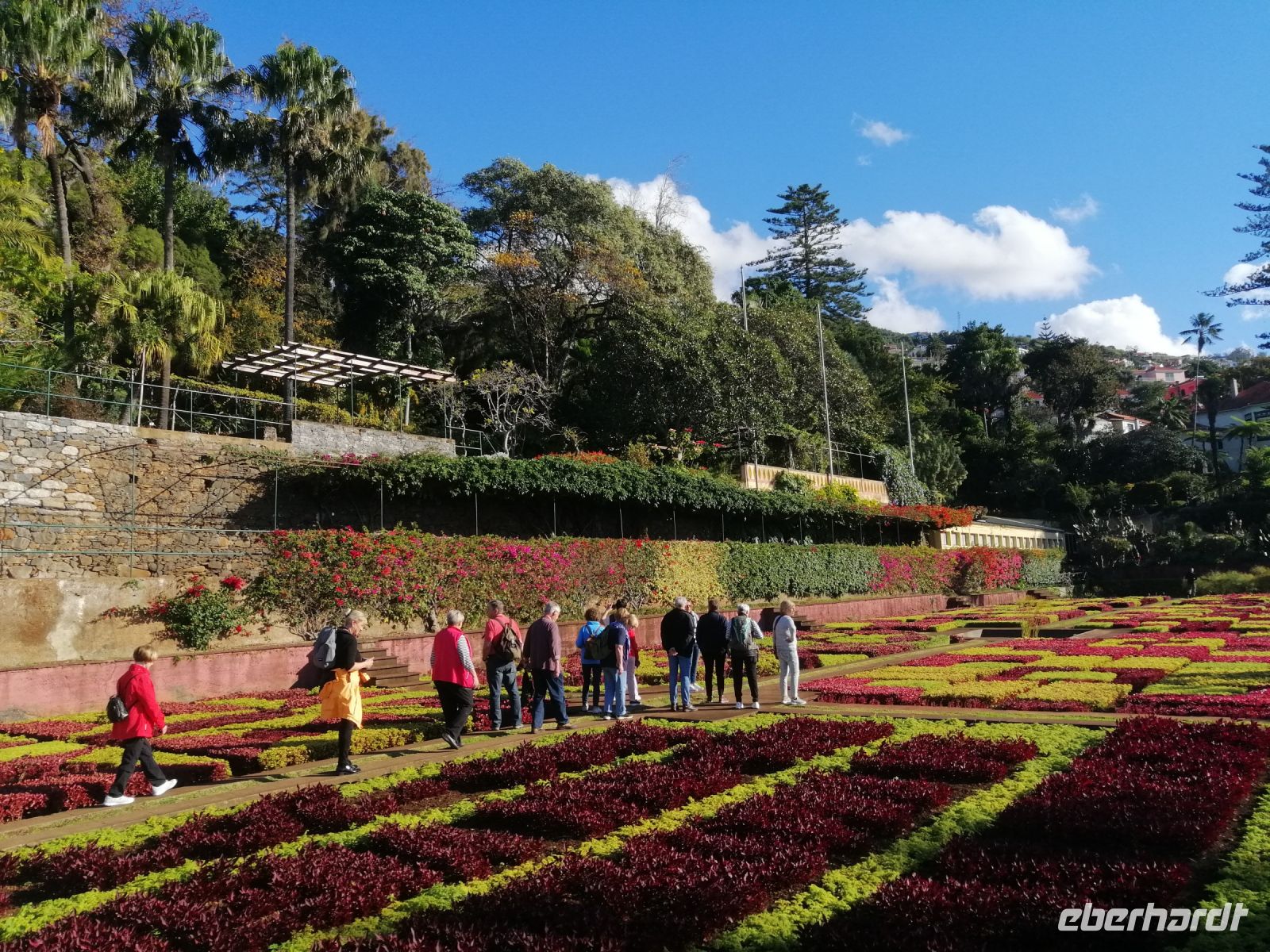 im botanischen Garten, Funchal