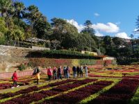 im botanischen Garten, Funchal