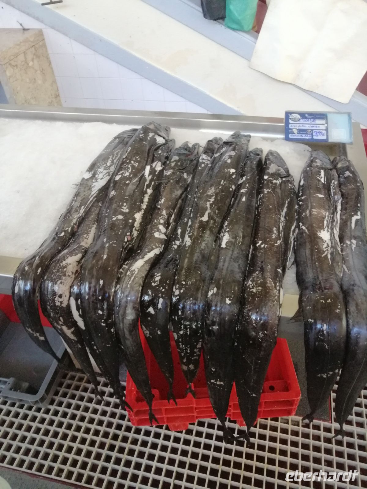 Die Markthalle in Funchal: schwarzer Degenfisch