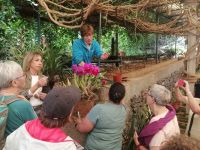 Patrick erklärt die Bestäubung von bestimmten Orchideen